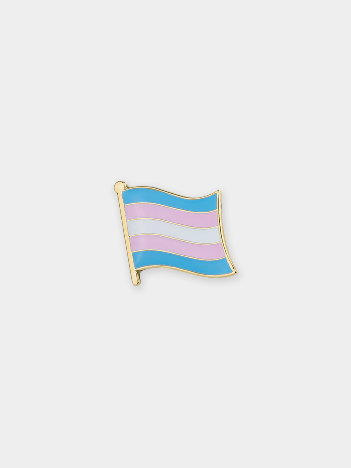 Rainbow Flag Pin